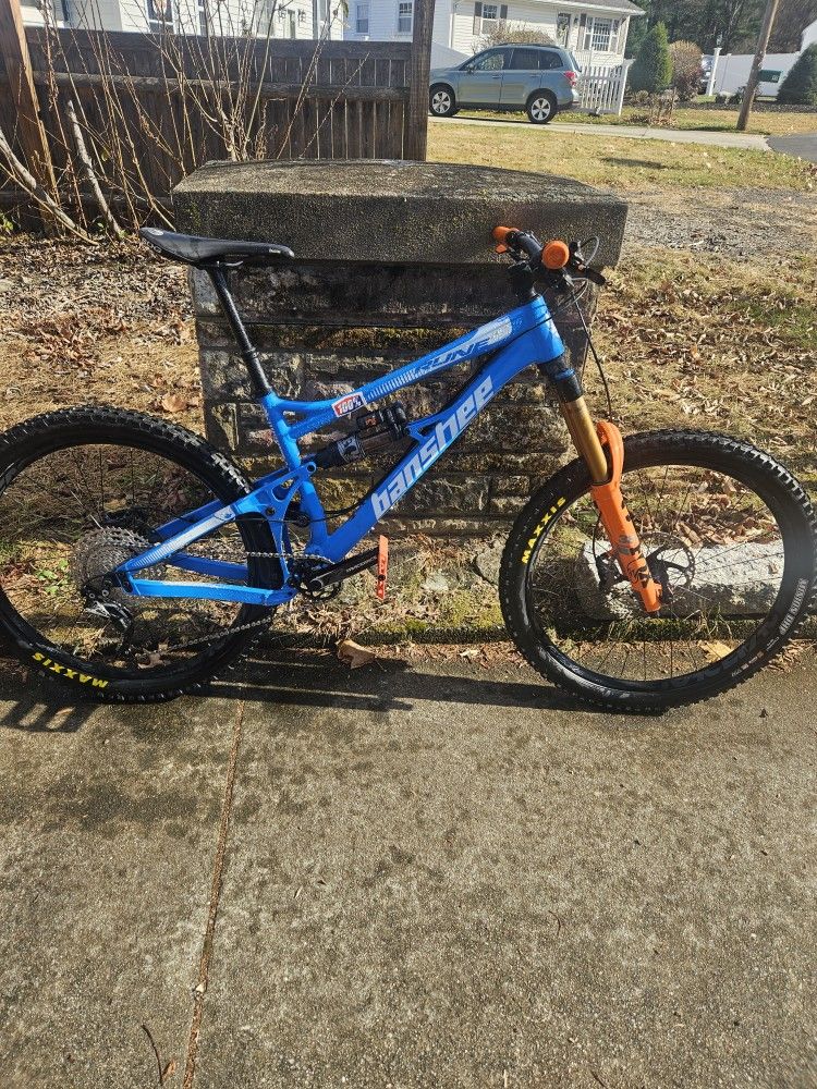 Enduro/ Park Bike