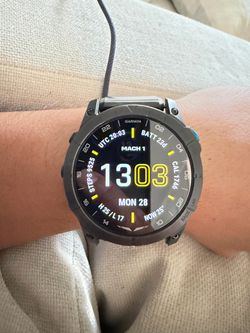 Garmin pilot watch