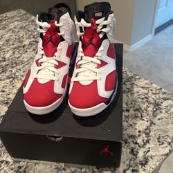 Brand New Jordan Carmine 6s Size 8