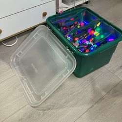 Led Christmas Lights In Storage Box