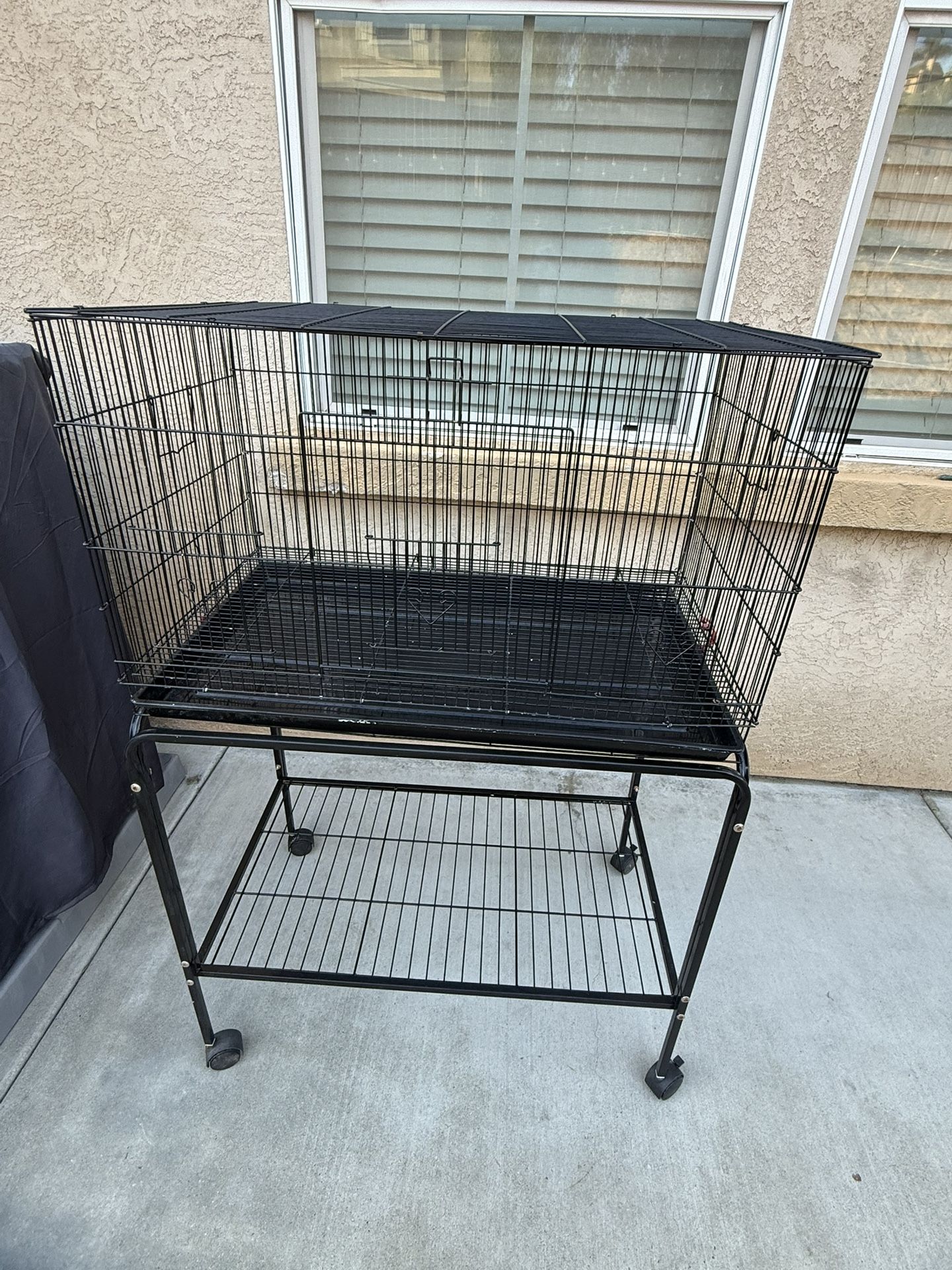 Black Bird Cage
