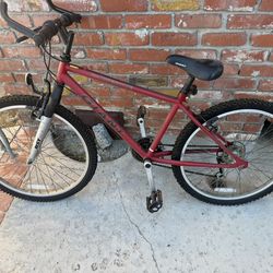 Giant RST 154 - Mountain Bike Youth Model 24” Tires 3x6