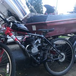 110 Cc Bike 