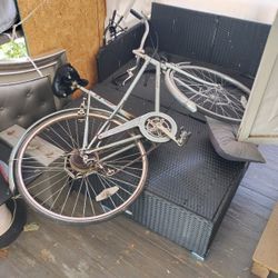 Original Bridgestone Bike 