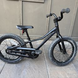 Trek Precaliber 16 Bike