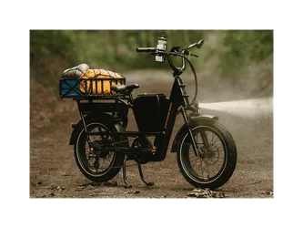 RadRunner Max Electric Cargo Bike