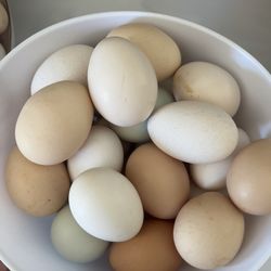 Fresh Eggs  /dozen 