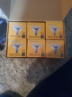 Miarala Halogen Light Bulb 