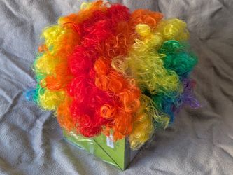 Rainbow Clown Wig