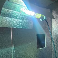 600watt Sun System Hard Core Ballast W/Reflective Lamp & Bulbs 