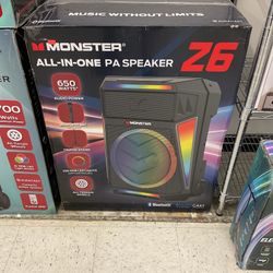 PA Speaker