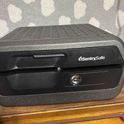 Sentry Fire Fireproof Waterproof Safe Box Home Security Keys Lock Money Passport