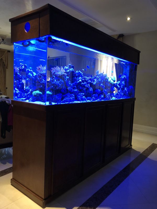300 gallon reef tank for Sale in Los Angeles, CA OfferUp