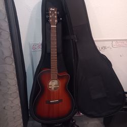 Cort Acoustic Guitar