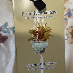 Plant Hanger 