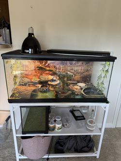 40 Gallon Reptile Tank W/stand