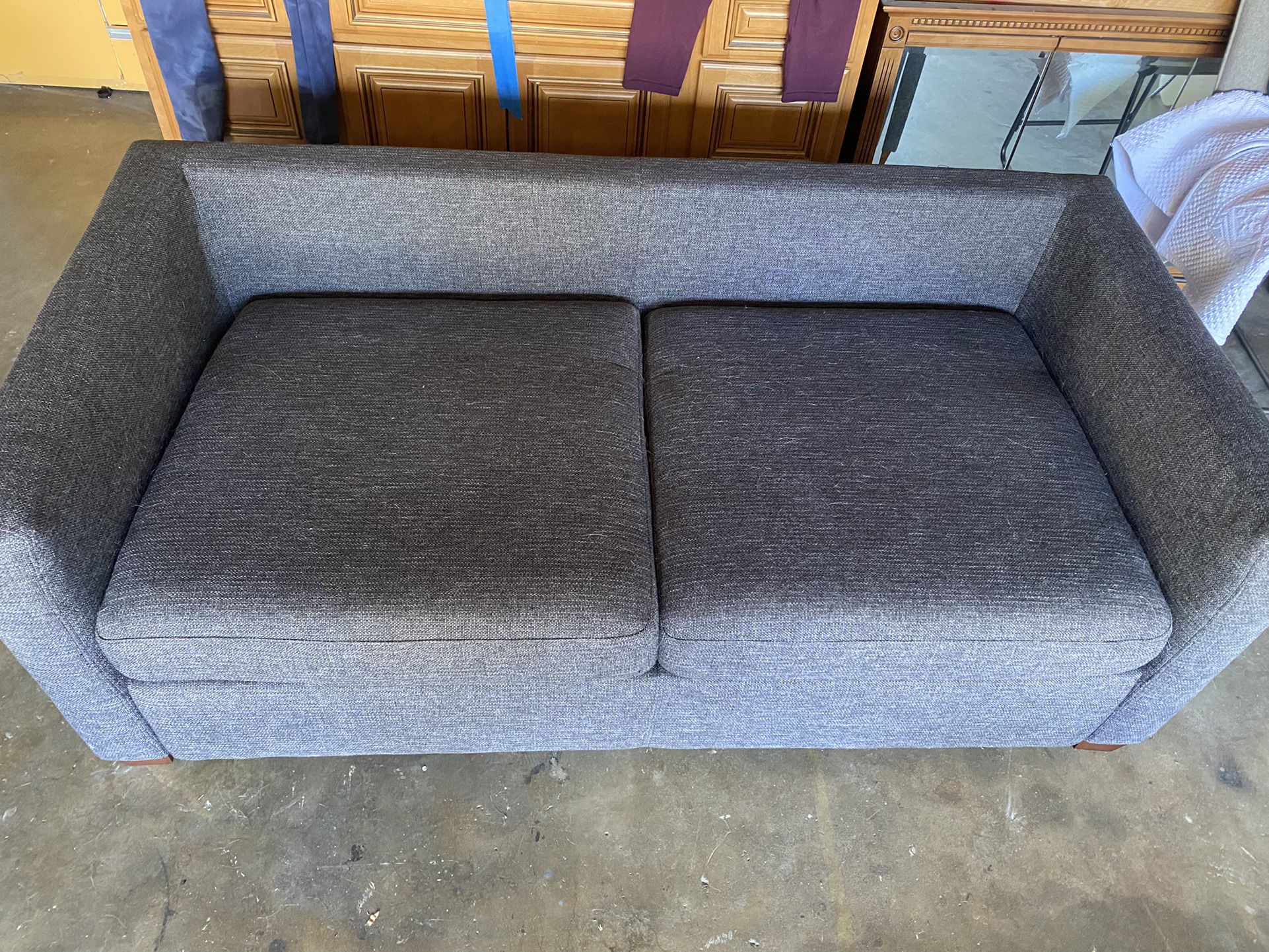 Couch/ Pull Out Bed 