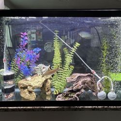 30 Gallons Fish Tank, Size Is 30 x 18,5 x 12