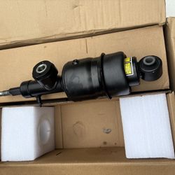 Air Shocks ( Back)