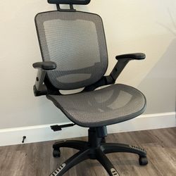 Ergonomic Office Chair