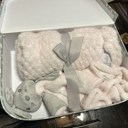 Brand New Baby Girl 3 Set Clothes And Baby Blanket With Stuff Animal In Case 