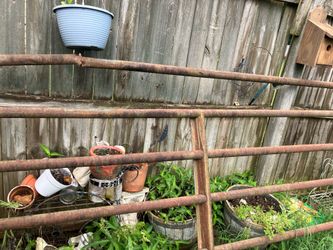 16 foot gate rusty