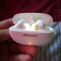2Boom Wireless Earphones with charging case