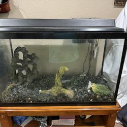 Fish Tank Or Reptile Tank