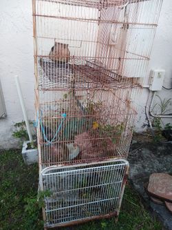 Large Birds Cage