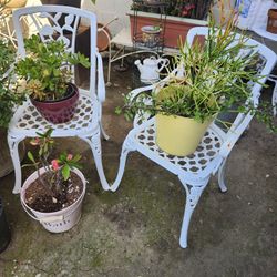 Big Plant Sale Open Today Monday !!