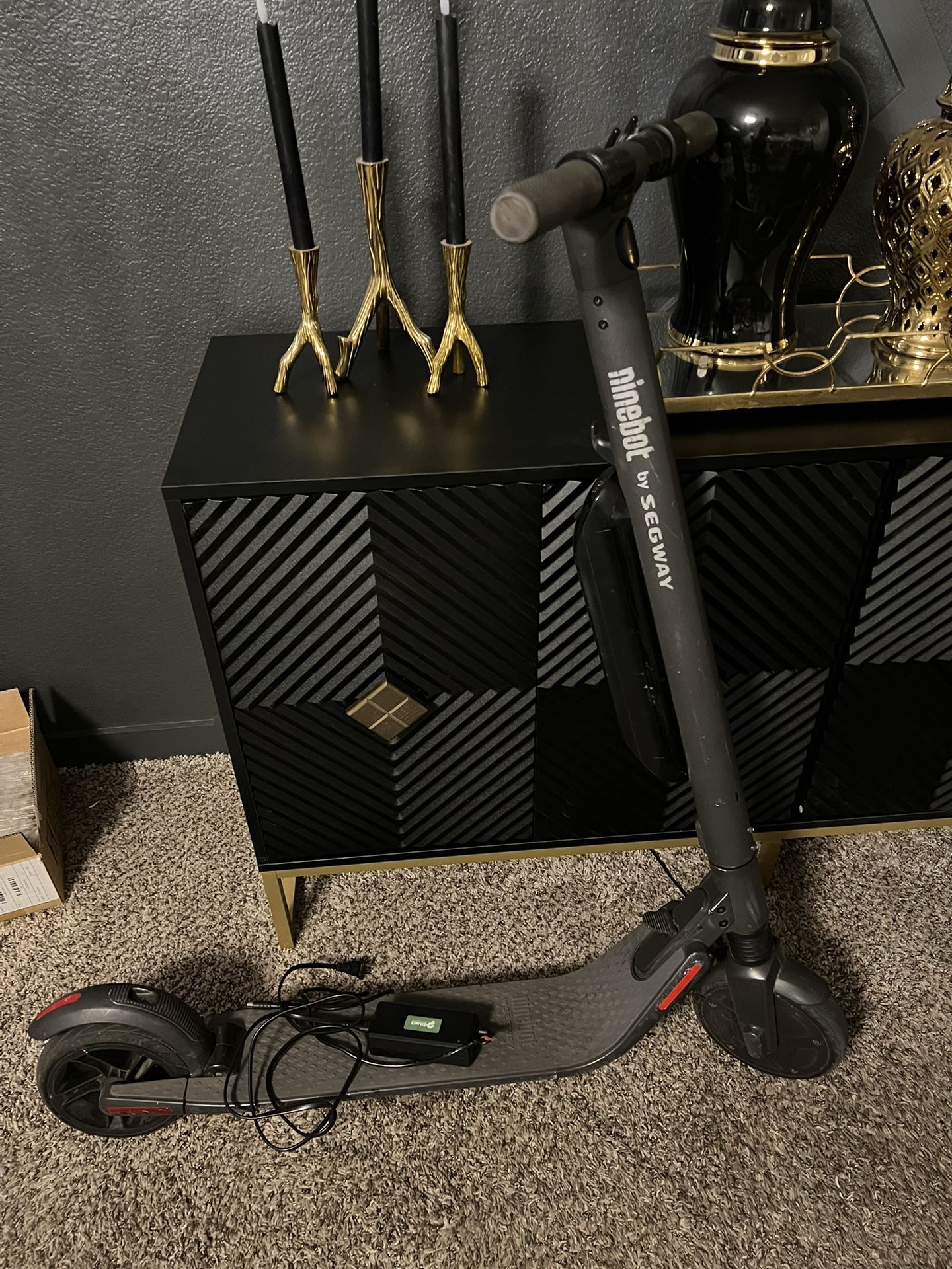 Nonebot Segway Electric Scooter