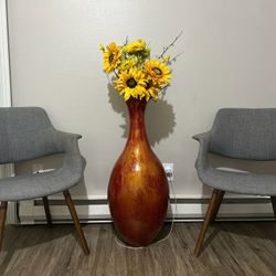 Ikea 2 Chairs 