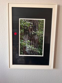 Set of 3 Dogwood Tree Flowers