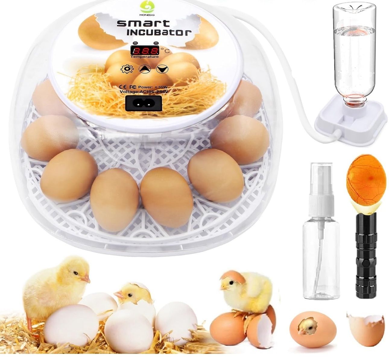 12 Eggs Incubator for Hatching Eggs- white