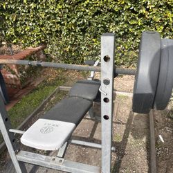 Outdoor “LA-Style” Weight Set / Bench Press