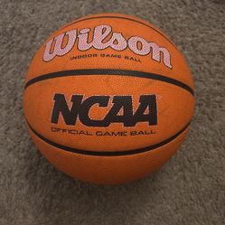 wilson evo size 6 women’s basketball