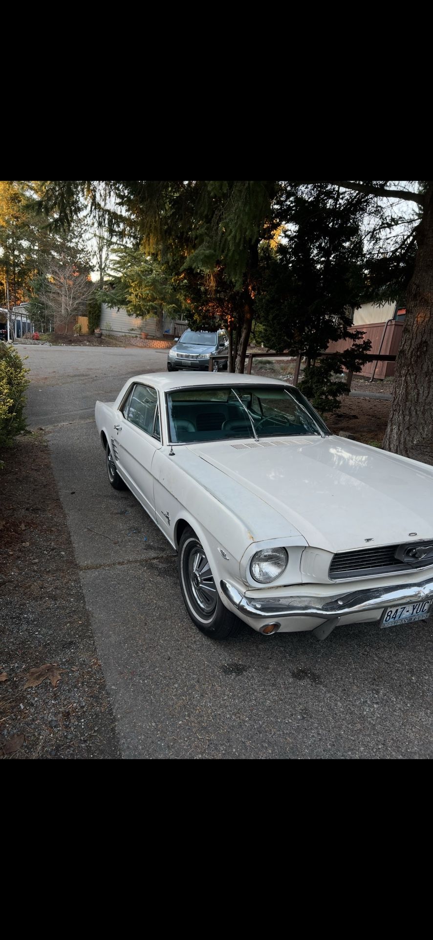 1966 Ford Mustang