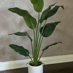 Faux Bird of Paradise Plant w/ White Planter