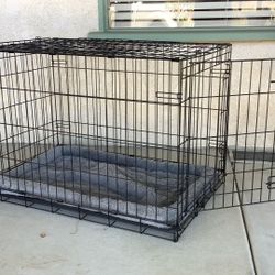 36 Inch Dog Crate