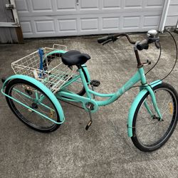 Adult Tricycle with Basket