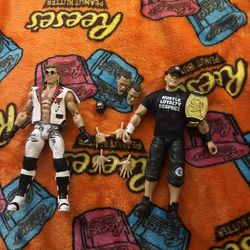 Wwe Figures John Cena Ultimate Edition 20 And HBK
