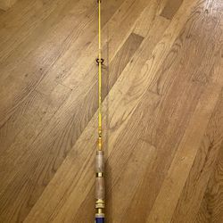 Brand New Bass Pro Fishing Rod 