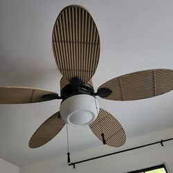 Ceiling fan