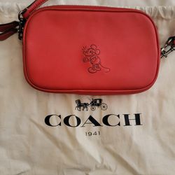 Disney Coach Bag