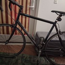 XXL Frame Specialized Alleyz