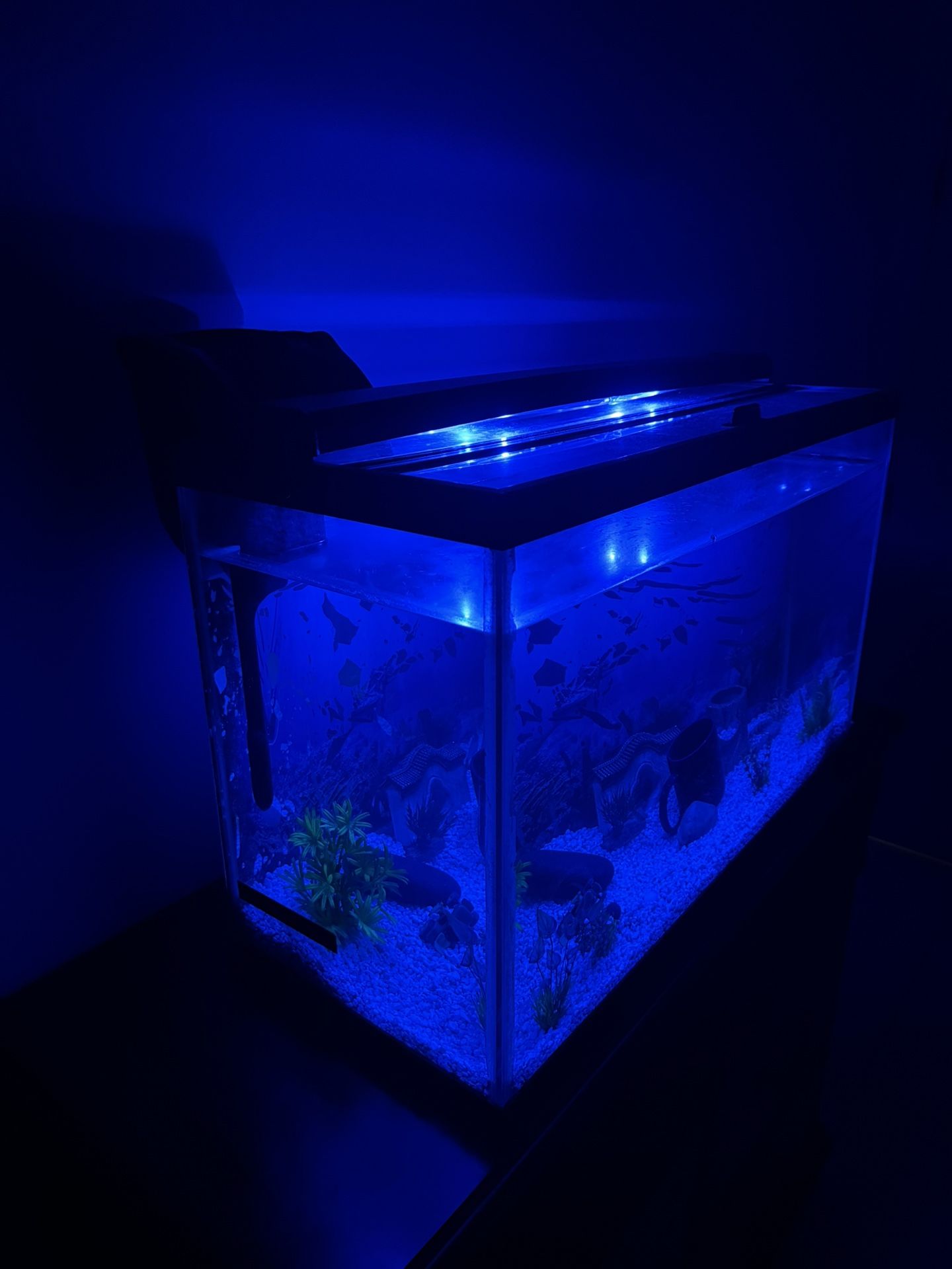 Fish Tank 30 Gallons
