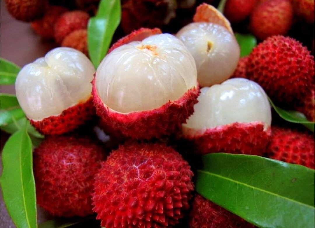 LYCHEE $7LB (contact info removed)