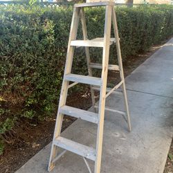 5ft Ladder 