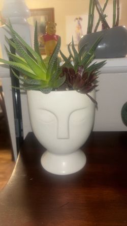 Succulent face planter