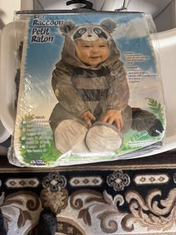 Raccoon Costume